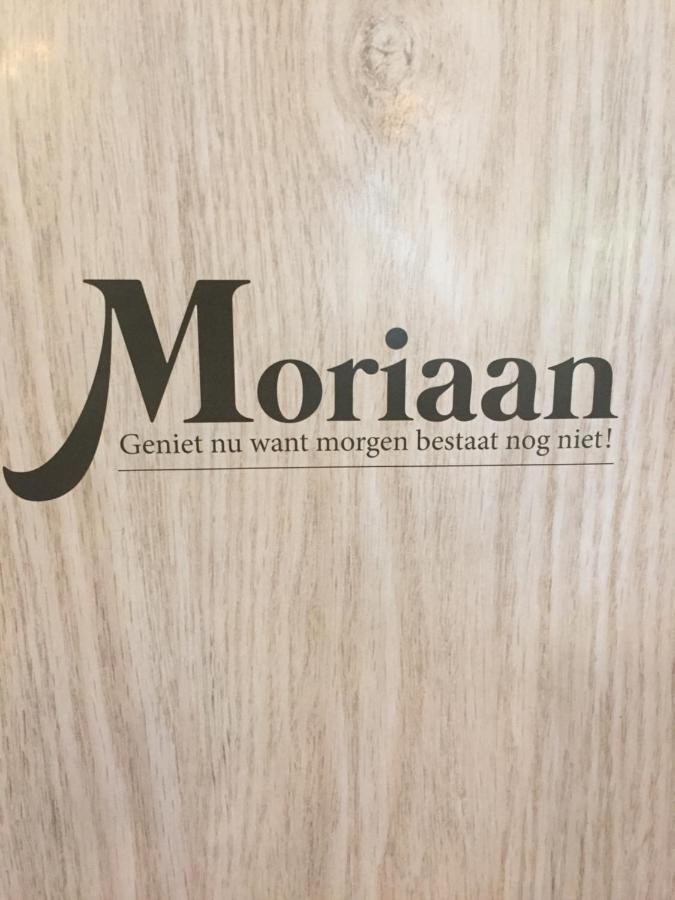 B&B Moriaan Brakel Exteriör bild